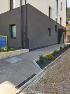 Apartment mit 1 Schlafzimmer