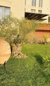 Casa Dante - Boutiquehouse TomR