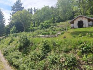 Maisons de vacances L'Estive, gite a la ferme en montagne : photos des chambres