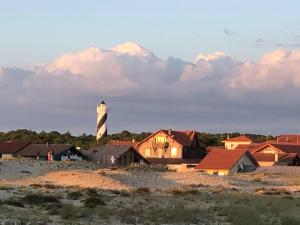 Appartements L'Amourette des Landes : photos des chambres