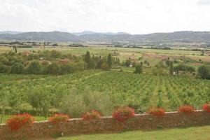 Favolosa Villa in Toscana