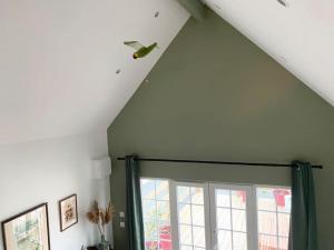 L’Amazonite - Etretat