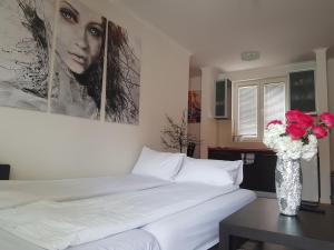 Rajiceva 5- apartman sa prostranom terasom i garaznim mestom