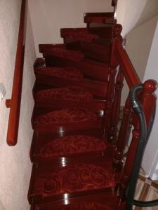 Pensiunea Floare de Bucovina