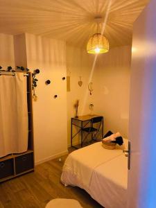 Appartements L'evasion en B : photos des chambres