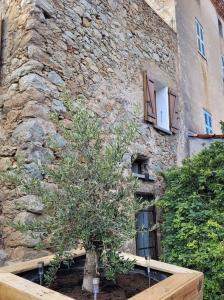 Maisons de vacances The Cosy Home Corbara by 1722 : photos des chambres