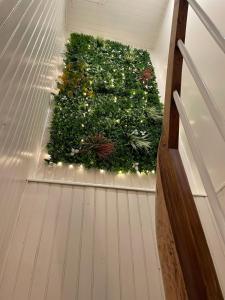 Joli cocon en hyper centre