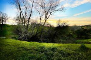 King Bed Quiet Home on Cul-de-Sac Hiking Trails