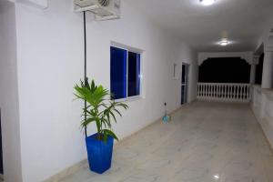 The White Villa