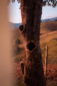 Solarium Mantiqueira - Conforto e vistas incríveis