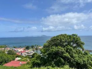 l'escale des roches gravées - Vieux-Fort