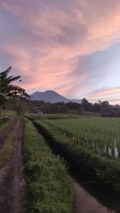 Tegal Jero Homestay
