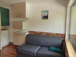 Appartements Studio Villard-de-Lans, 1 piece, 4 personnes - FR-1-689-52 : photos des chambres