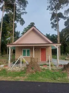 Panorama Homestay Lambor Kanan - Suak Sungai Padi