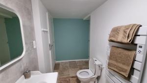 Appartements Appartement lumineux avec acces jardin et piscine chauffee : photos des chambres
