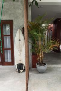 Coconut Surf Inn
