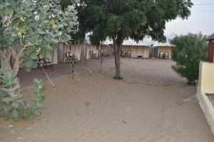 Mumal Desert Camp - Jaisalmer !