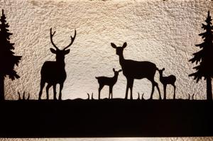 Sweet Somma Mountain Lodge 2