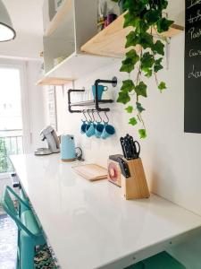Appartements Cosy Summer 2CH - Parc Expo - 2 Balcons & stationnement gratuit : photos des chambres