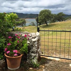 Finca La Vicacaria LIMONERO