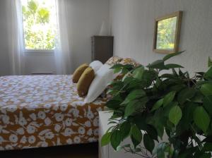 Villa Spa Béziers 4 étoiles ressourcez-vous avec style