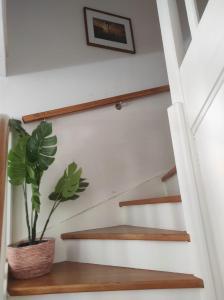 Villas Villa Spa Beziers 4 etoiles ressourcez-vous avec style : photos des chambres