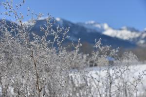 B&B / Chambres d'hotes L'Escale en Ubaye : photos des chambres