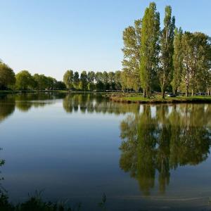 Campings L'Oasis des Dombes : photos des chambres