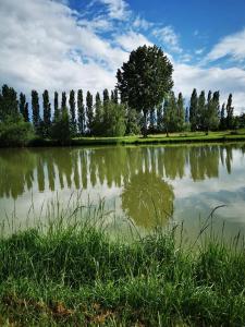 Campings L'Oasis des Dombes : photos des chambres