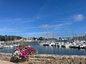 Appartements Un appartement au chateau de Locqueran Finistere : photos des chambres