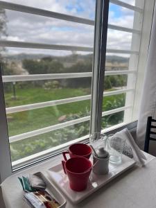 Habitación Hemerocallis - Hospedaje Lo De Juan y Mabel