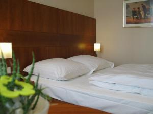 Single Room room in Hotel Lindenhof
