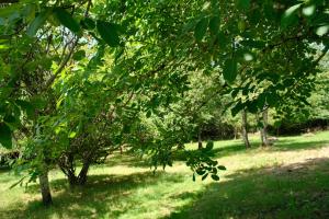 Maisons de vacances Old farmhouse and orchard situated in the middle of nature in a quiet area : photos des chambres