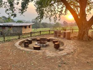 Yellowwoods Farm - WILLOUGHBYS COTTAGE and OLD STABLES COTTAGE
