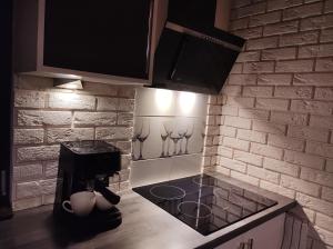 Cztery Pory Roku - kominek, sauna, jacuzzi