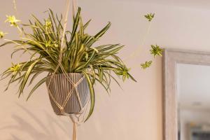 Windsor centre Parkview