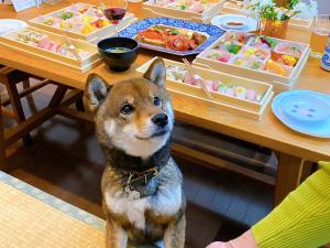 Suite Villa Ito Shiokazeann