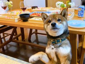 Suite Villa Ito Shiokazeann