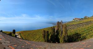 Domaine de la Crausaz