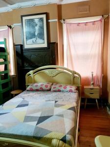 St Kilda East backpackers hostel