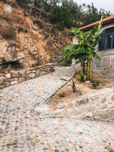 Quinta do Fojo Valonguinho, Barrô