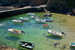 Maisons de vacances Charmante petite maison avec jardin plage des vieilles : photos des chambres