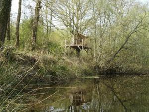 Campings Le Bois Davy : photos des chambres