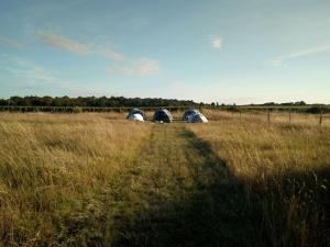 Campings Le Bois Davy : photos des chambres