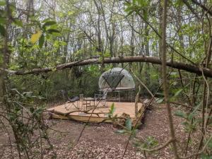 Campings Le Bois Davy : photos des chambres