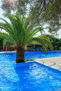 Thalero Holidays Center Lefkada Greece