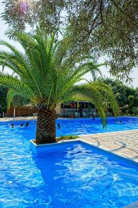 Thalero Holidays Center Lefkada Greece