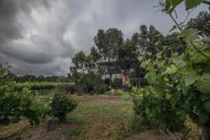 Sellicks Chills Vineyard Retreats