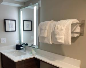 Standard Room room in Holiday Inn Hotel & Suites Chicago - Downtown an IHG Hotel