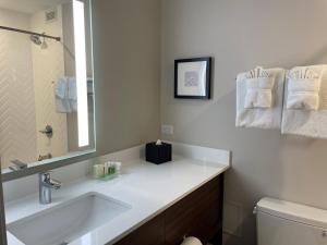 Holiday Inn & Suites Chicago-Downtown by IHG